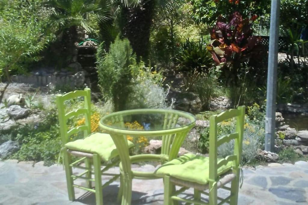 Vivienda Rural La Choza Villa Jerez de la Frontera Eksteriør billede