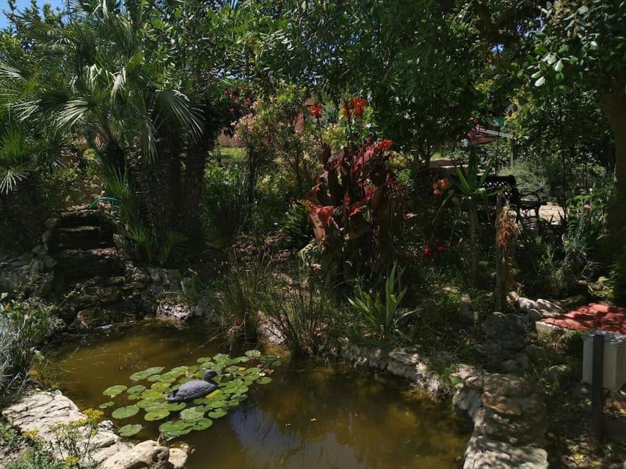 Vivienda Rural La Choza Villa Jerez de la Frontera Eksteriør billede